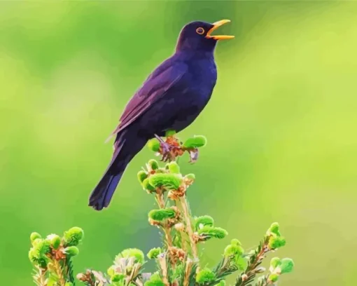 Bird Singing Diamond Painting