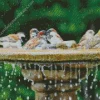 Birds Bath Diamond Painting