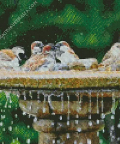 Birds Bath Diamond Painting