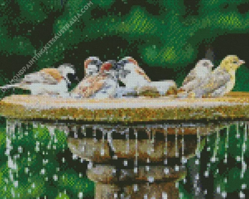 Birds Bath Diamond Painting