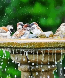 Birds Bath Diamond Painting