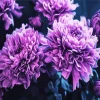 Black And Purple Flowers Diamond Painting