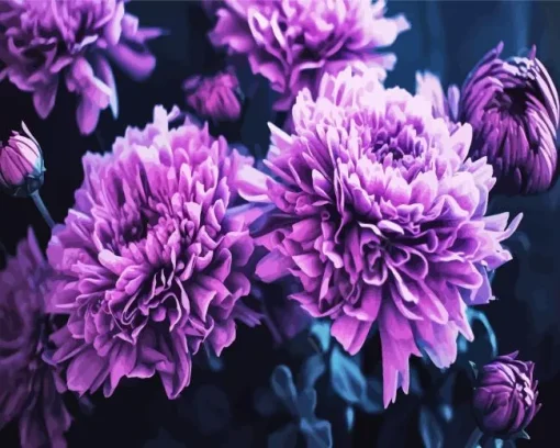 Black And Purple Flowers Diamond Painting