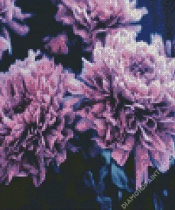 Black And Purple Flowers Diamond Painting