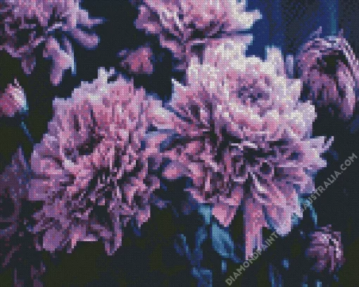 Black And Purple Flowers Diamond Painting