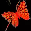 Black And Red Butterfly Diamond Painting