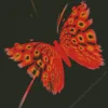 Black And Red Butterfly Diamond Painting