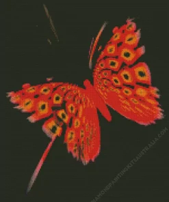 Black And Red Butterfly Diamond Painting