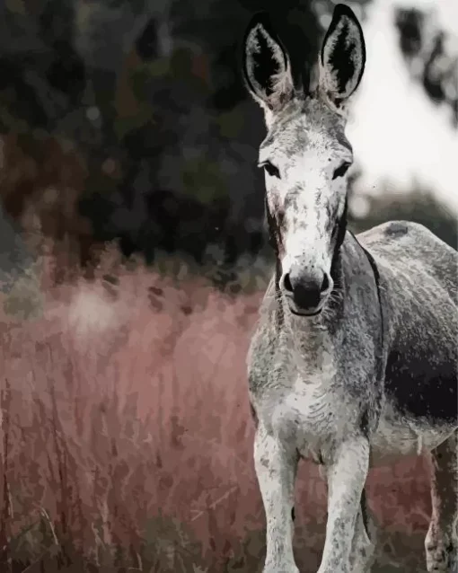 Black And White Donkey Diamond Painting