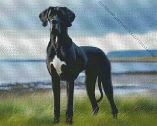 Black And White Great Dane Diamond Painting