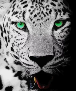 Black And White Leopard Diamond Painting