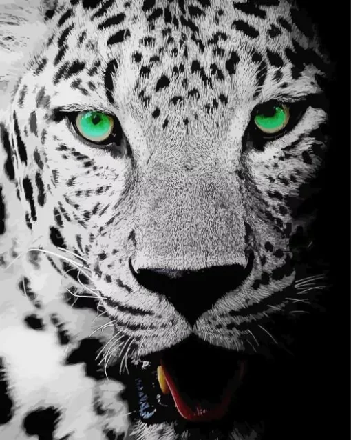 Black And White Leopard Diamond Painting