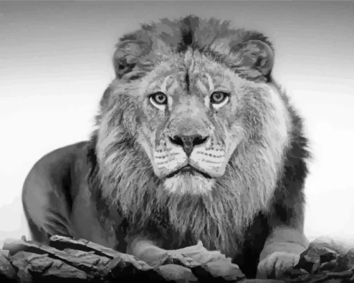 Black And White Lion Diamond Painting