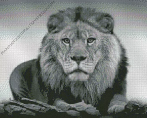 Black And White Lion Diamond Painting