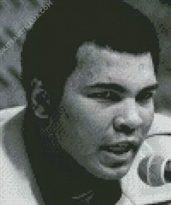 Black And White Muhammad Ali Diamond Painting