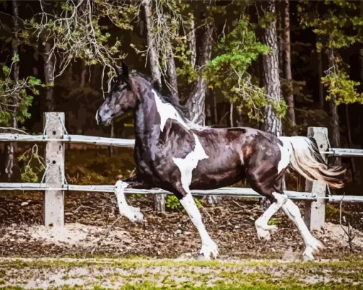 Black And White Pinto Horse Diamond Painting