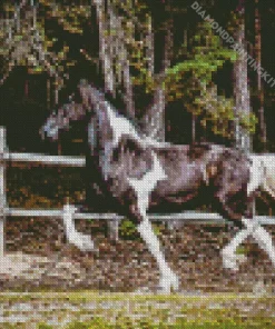 Black And White Pinto Horse Diamond Painting