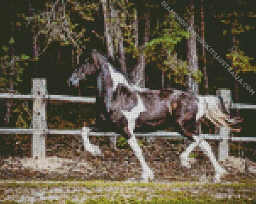 Black And White Pinto Horse Diamond Painting