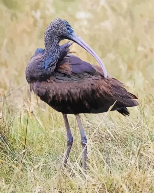 Black Ibis Bird Diamond Painting