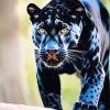 Black Jaguar Diamond Painting