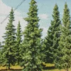 Black Spruce Tree Diamond Painting