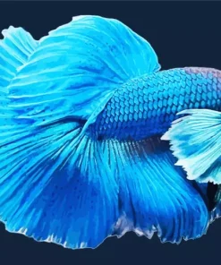 Blue Betta Fish Diamond Painting