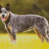 Blue Heeler Dog Diamond Painting