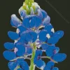 Blue Lupine Flower Diamond Painting