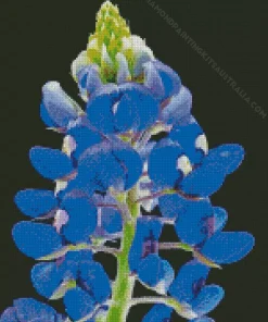 Blue Lupine Flower Diamond Painting