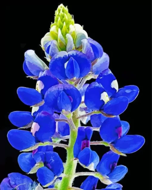 Blue Lupine Flower Diamond Painting