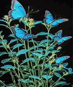 Blue Monarch Butterflies Diamond Painting