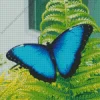 Blue Morpho Butterfly Diamond Painting