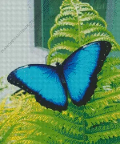 Blue Morpho Butterfly Diamond Painting