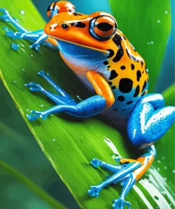 Blue Orange Frog Diamond Painting