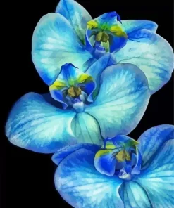 Blue Orchid Diamond Painting