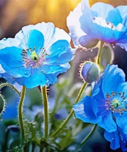 Blue Poppies Diamond Painting