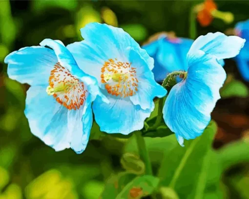 Blue Poppies Flowers Diamond Painting