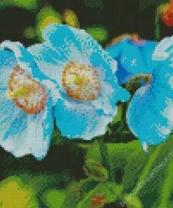 Blue Poppies Flowers Diamond Painting