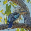 Blue Winged Kookaburra Diamond Painting