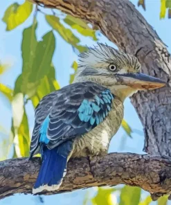 Blue Winged Kookaburra Diamond Painting