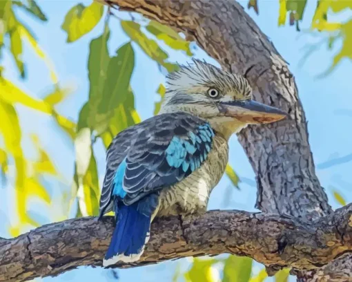 Blue Winged Kookaburra Diamond Painting