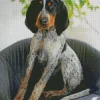 Bluetick Coonhound Dog Diamond Painting