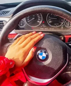 Bmw Steering Wheel With Hand Diamond Painting