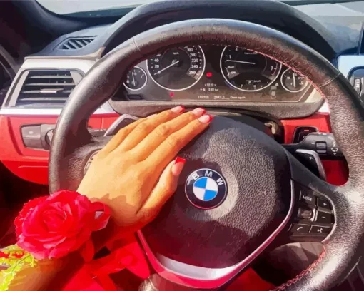 Bmw Steering Wheel With Hand Diamond Painting