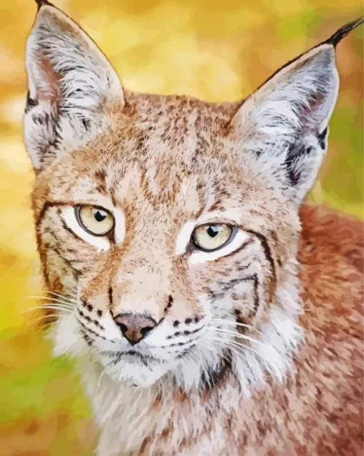 Bobcat Face Diamond Painting