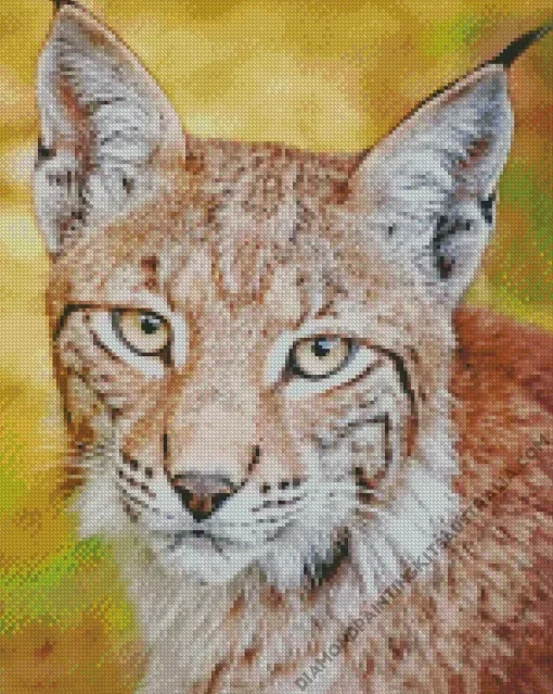 Bobcat Face Diamond Painting