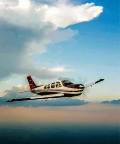 Bonanza Flying Diamond Painting