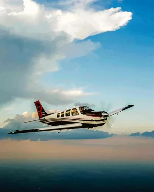 Bonanza Flying Diamond Painting