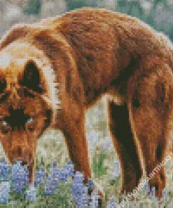 Brown Wolf Diamond Painting