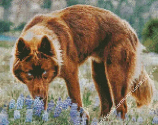 Brown Wolf Diamond Painting